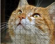 Jigsaw puzzle 2 jtkok ingyen