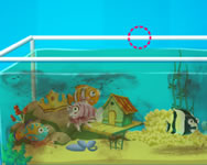 Aquarium farm cicás HTML5 játék