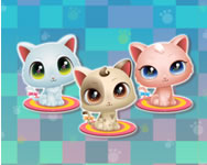 Cute Kitty care cicás HTML5 játék