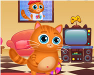 Lovely virtual cat cicás ingyen játék